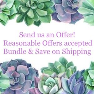 Jeans Tops Shoes Bags